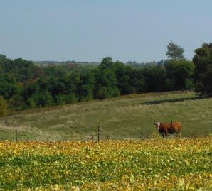 Farming in the Driftless Region