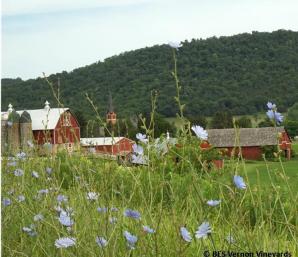 Farm, Family, Faith