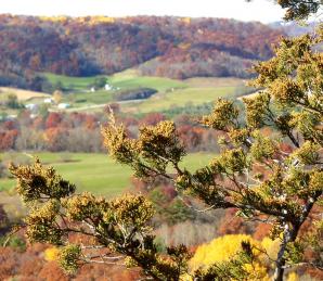 Wildcat Mountain