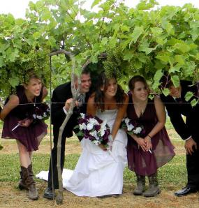 Finding Fun under the vines at Vernon Vineyards, Viroqua