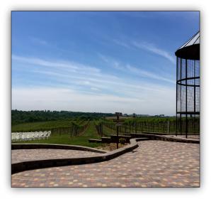 Barn Patio View, Pedretti's Party Barn, Viroqua