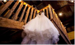 2019 10-12 Wedg Olivia Harvat Photo 5