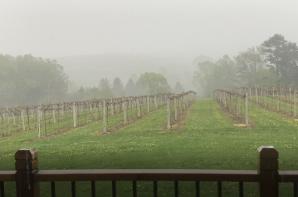 RAIN FROM THE DECK  (2)
