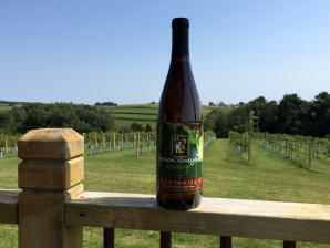 Wine with view on Rail_2323