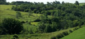 Driftless View from the Deck