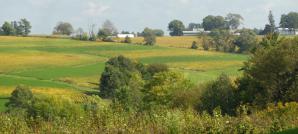 View from the Tasting Room Deck