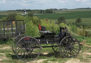 amishcartvernonvineyards2