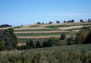 vernonvineyards-view2